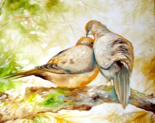 Художник dove Wildlife