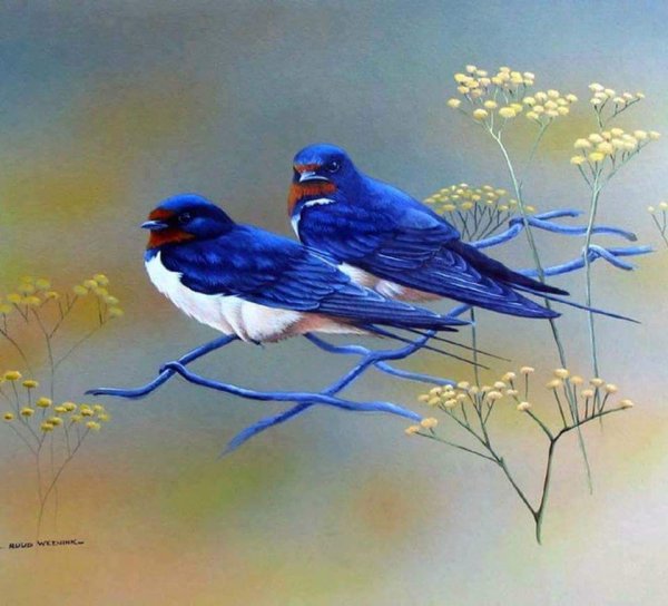 Художник Ruud Weenink