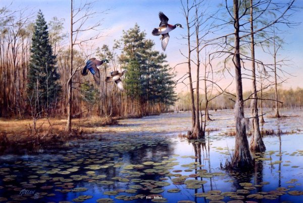 Художник Jim killen утки