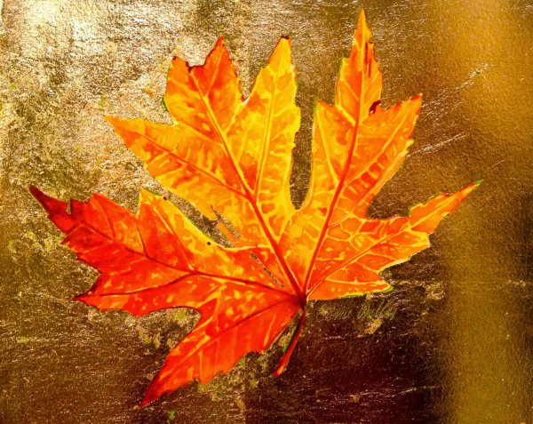 Осенние листья пастелью