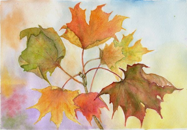 Осенние листья акварель