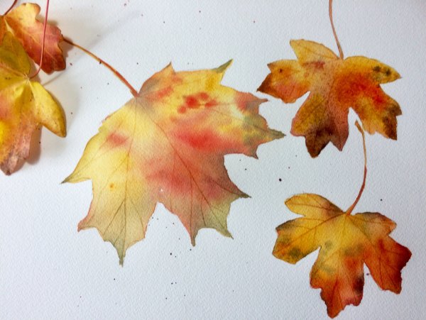 Инна Петрашкевич акварель осень