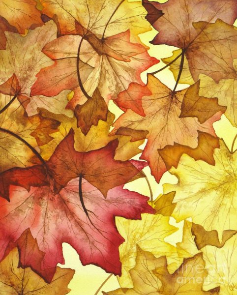 Рисование кленового листа