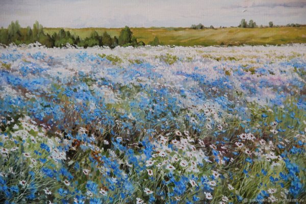 Васнецов васильки