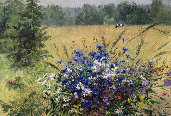 Художник Марина Захарова: полевые цветы