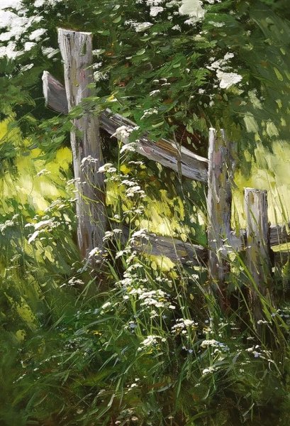 Нестерчук Степан сирень