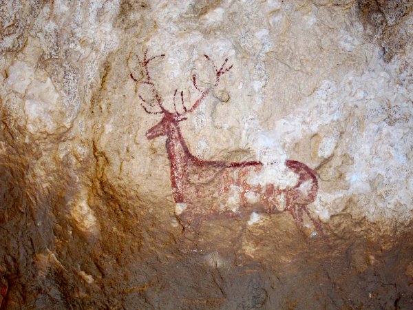 Ущелье Валлторта Первобытное искусство