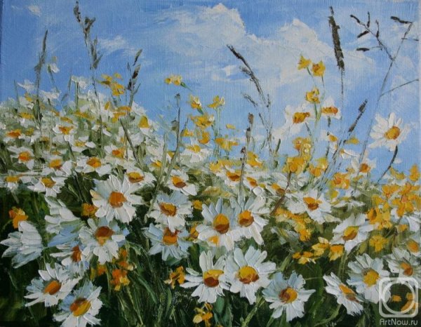 Поле ромашек мастихином
