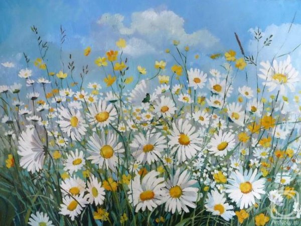 Ромашки картины художников