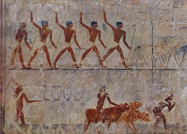 Фреска гробницы древнего Египта