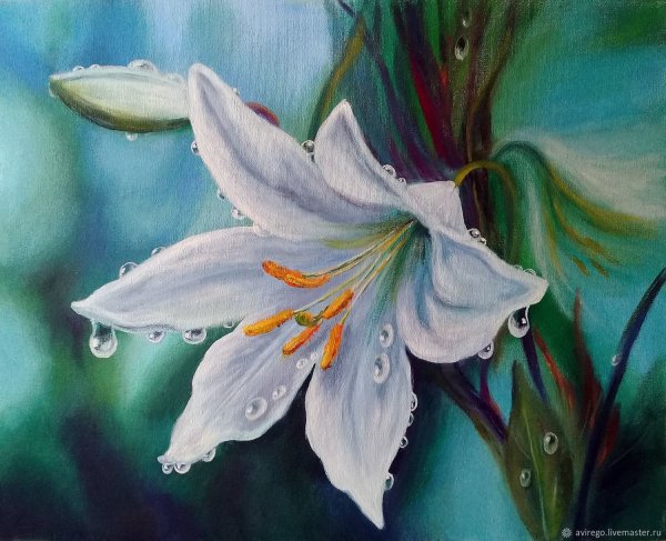 Магдалена Мюррей художник лилии