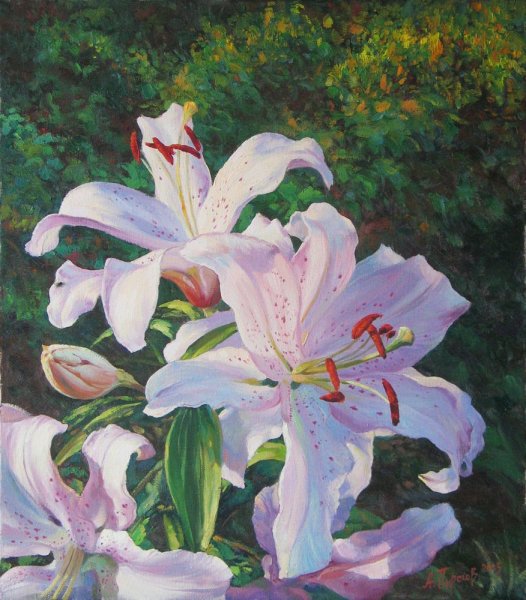 Лилия Торопова художник