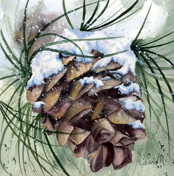 Шишка акварелью