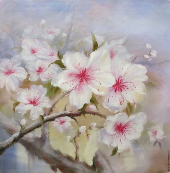 Сакура картина