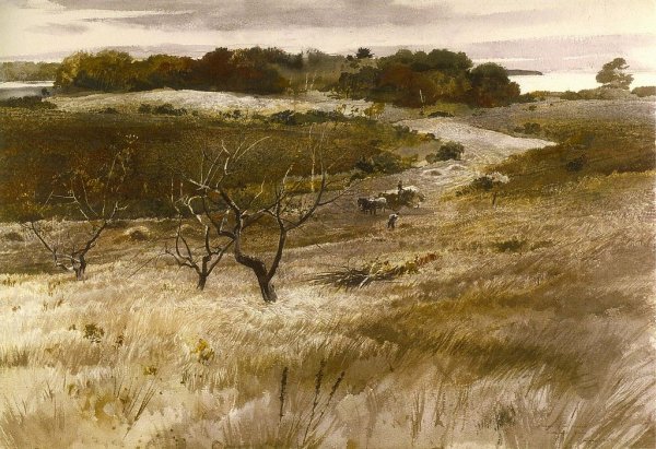 Акварели Эндрю Уайета