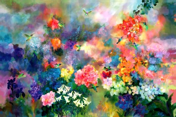 Цветы буйство красок