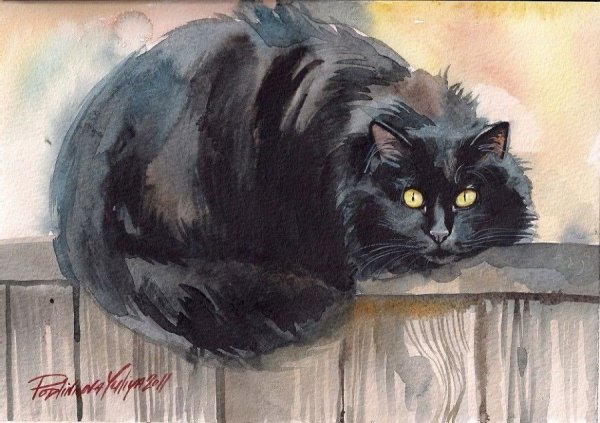 Черная кошка акрилом