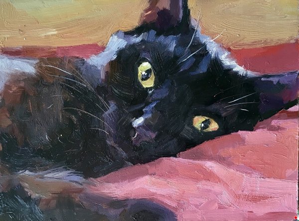 Diane Irvine черные коты