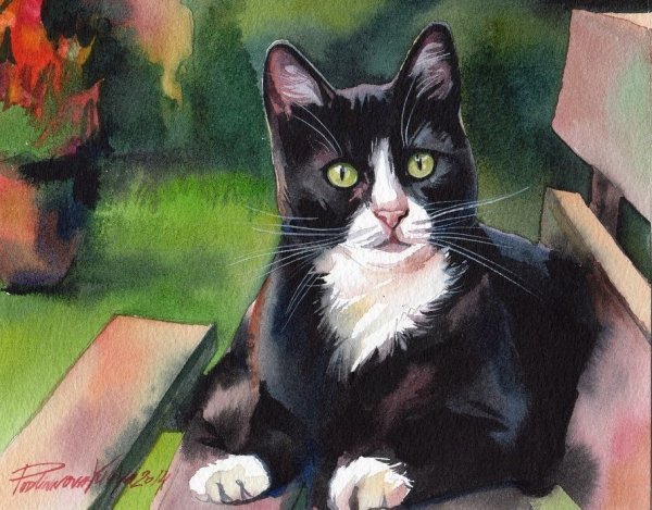 Diane Irvine черные коты