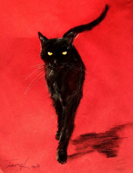 Художник Paul Knight. Кошки