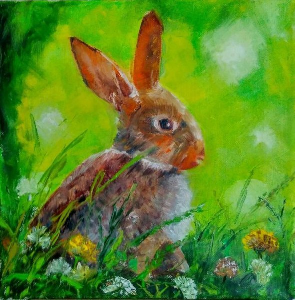 Валерия Меценатова кролики