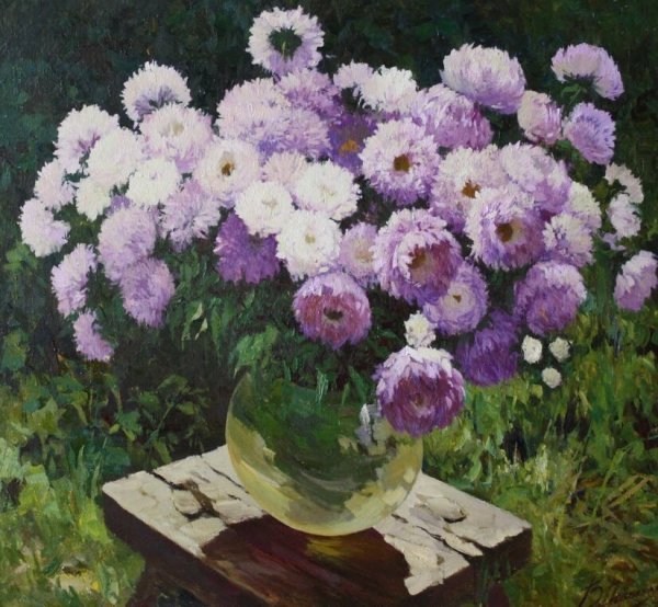 Довбенко астры