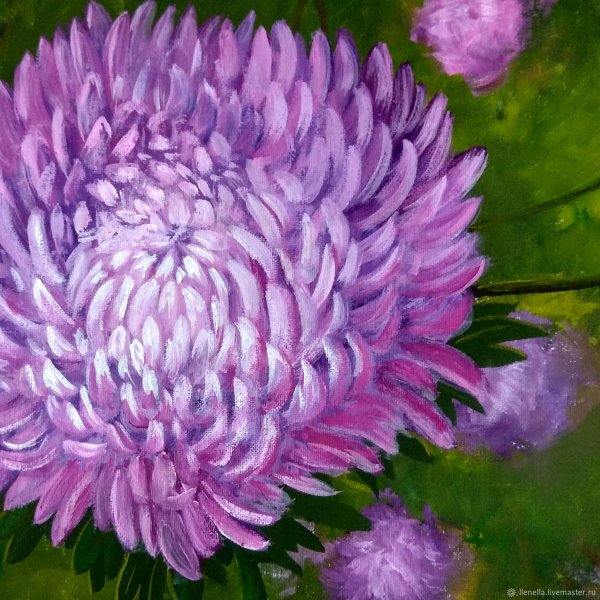 Астры Ляпунов