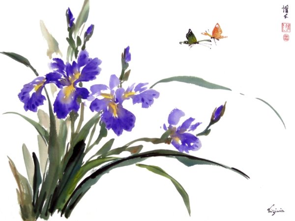 Ирисы цветы китайская