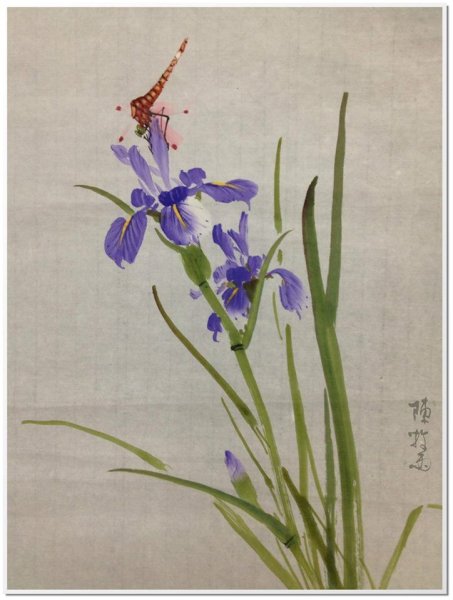 Ирисы в китайской живописи Сеи