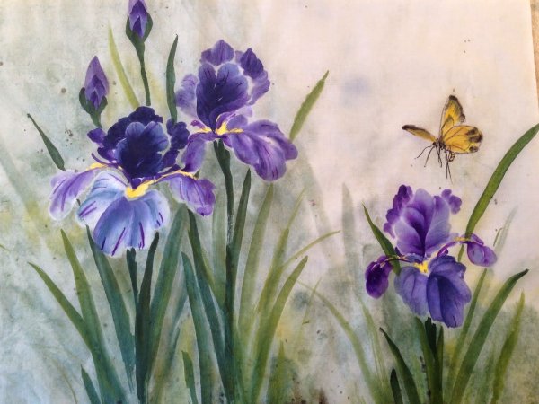 Ирисы гохуа