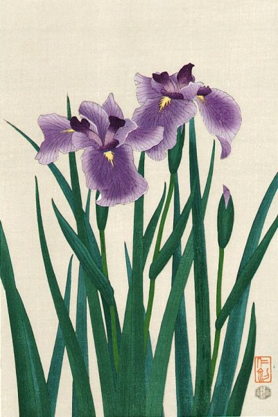 Ирисы Косон Охара