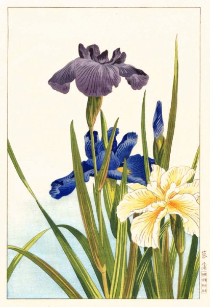 Нисимура ходо художник