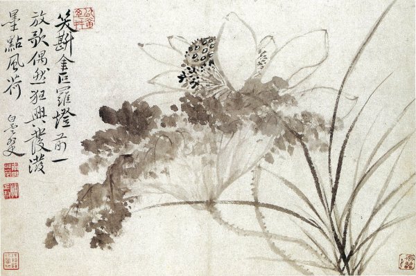 Чжао ши картины