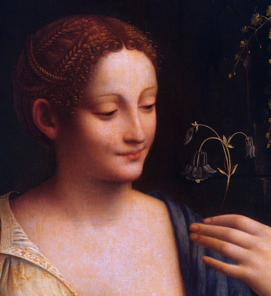 Франческо Мельци Флора Эрмитаж