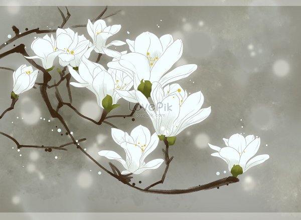 Гунби Магнолия