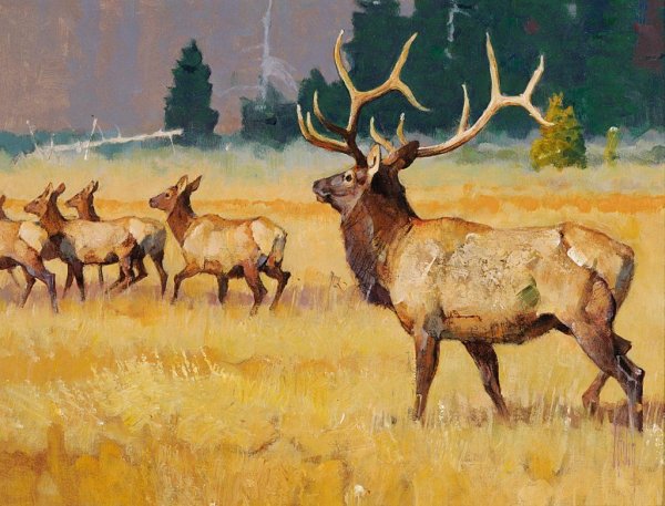 Олень живопись