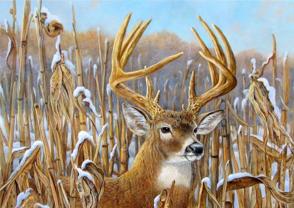 Картина олени