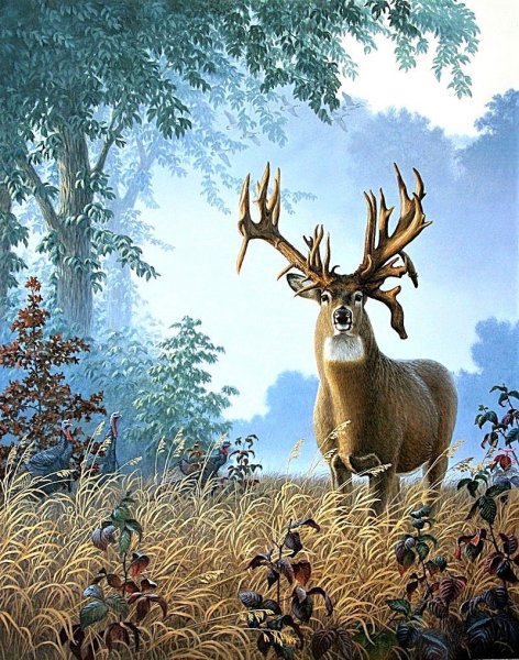 Олень живопись