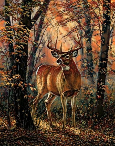 Rosemary Millette картины