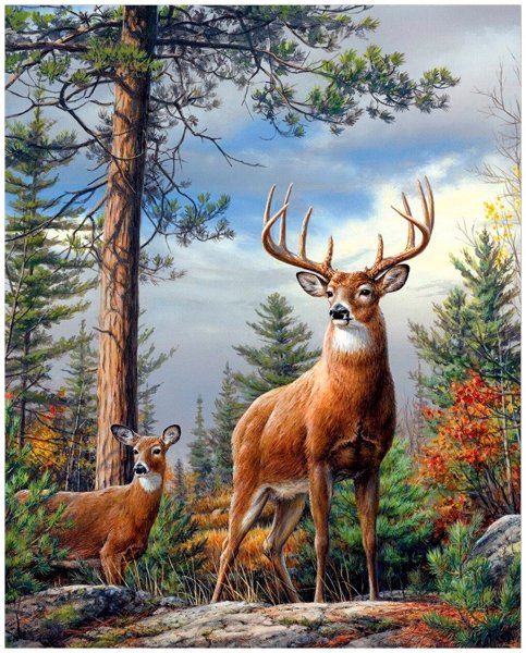 Алмазная мозаика олени
