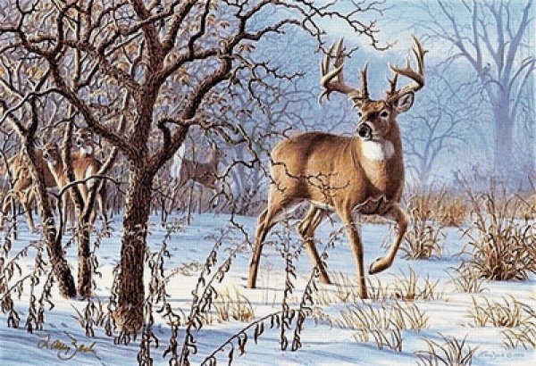 Художник Larry Zach