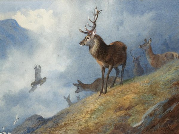 Арчибальд Торберн картины