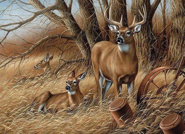 Розмари Миллетт картины олени