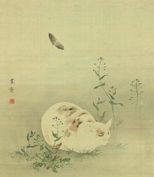 Кансай Мори коты живопись