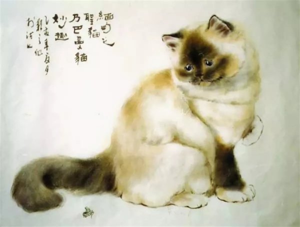 Gu Yingzhi Китай кошки