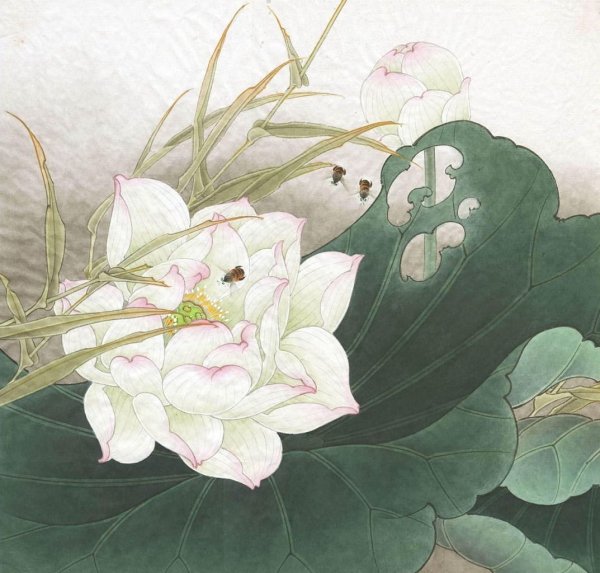 Ли Сяомин гунби