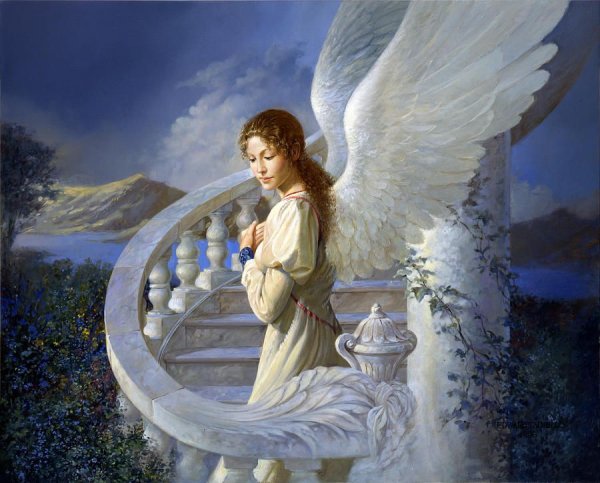 Ангелы Edward Tadiello