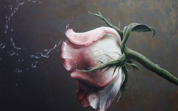 Цветы на темном фоне живопись