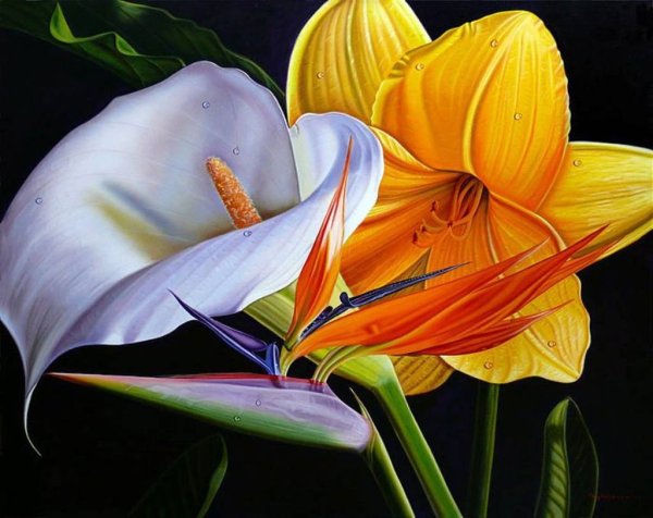 Эллери Гутьеррес цветы