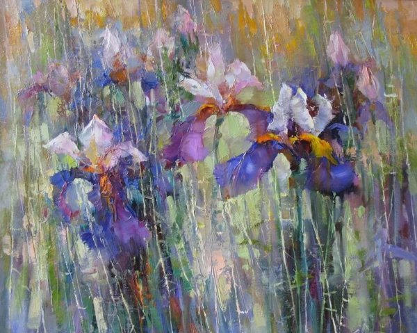 Маранов ирисы